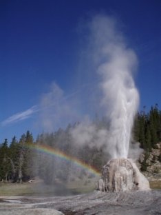 Geysir im Yellowstone Nationalpark 