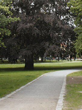 Gartenwege - Parkweg