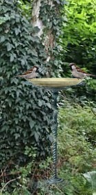 Vogeltrnke im Garten