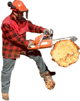 Holzfller bei Baumfllarbeiten